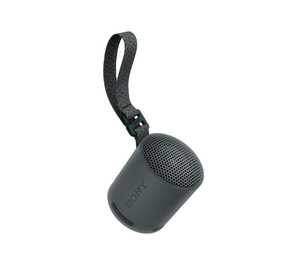 Haut-parleur sans fil portatif SONY SRS-XB100 Noir