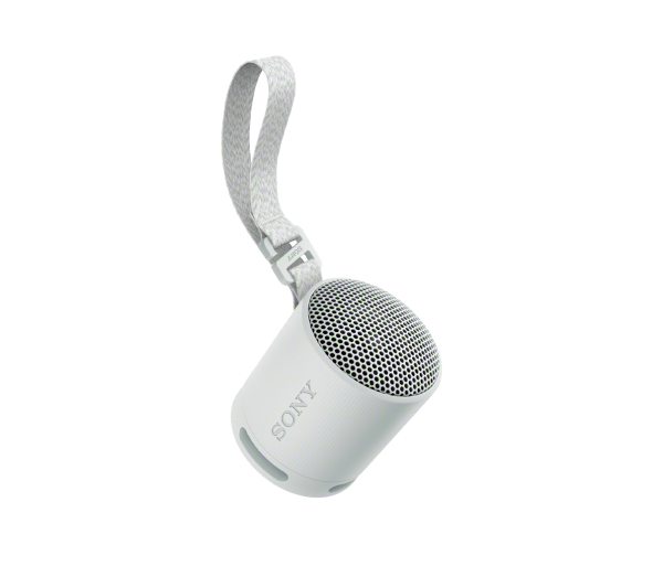 Enceinte sans fil bluetooth Ultra portable SRS-XB100 Gris