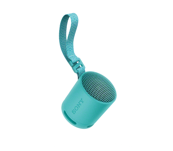 Haut-parleur sans fil portatif SRS-XB100 Bleu
