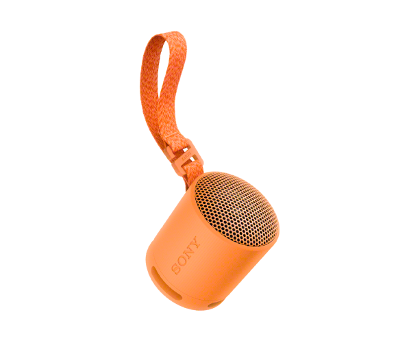 Haut-parleur sans fil portatif SRS-XB100 Orange
