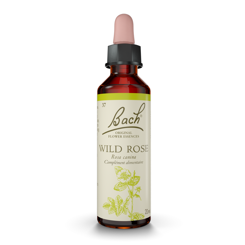 Fleurs de bach original wild rose 20ml