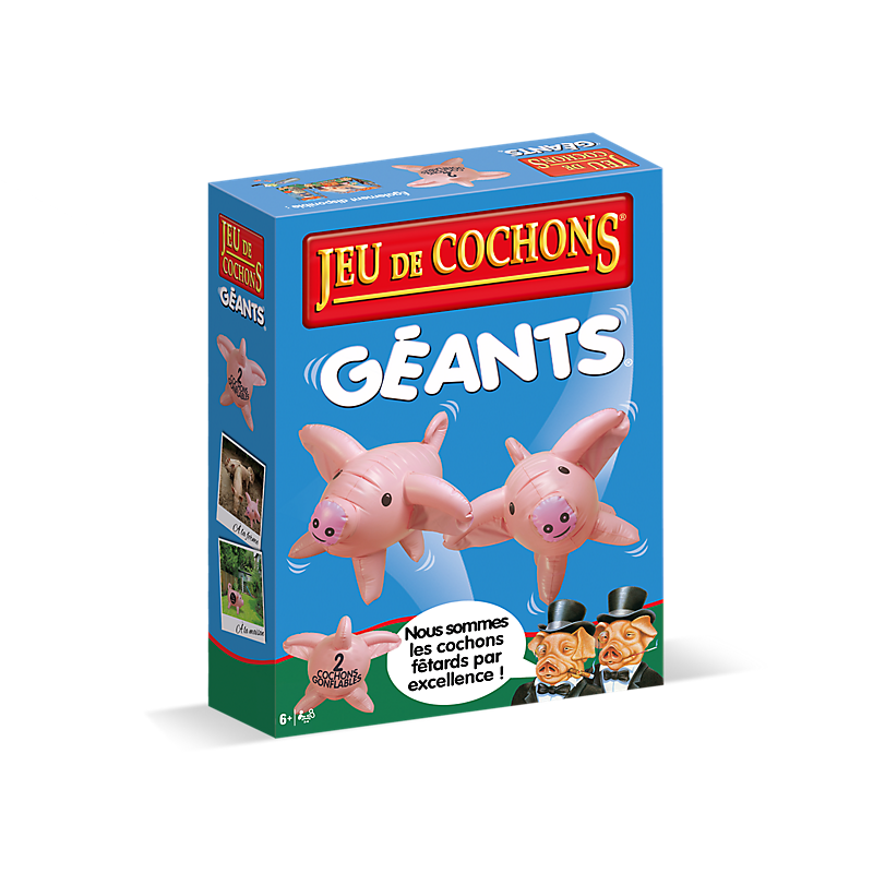 JEU DE COCHONS GEANTS - vue 1