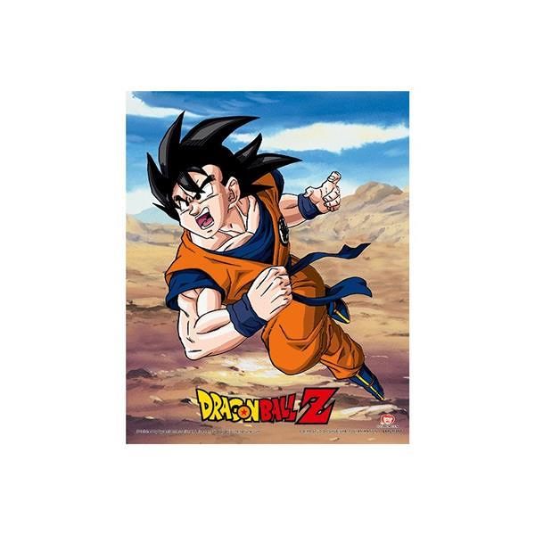 Dragon Ball Z - Cadre 3D lenticulaire - Rivalry of Power