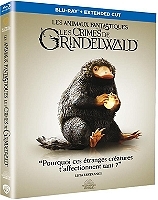 les animaux fantastiques 2 : les crimes de Grindelwald