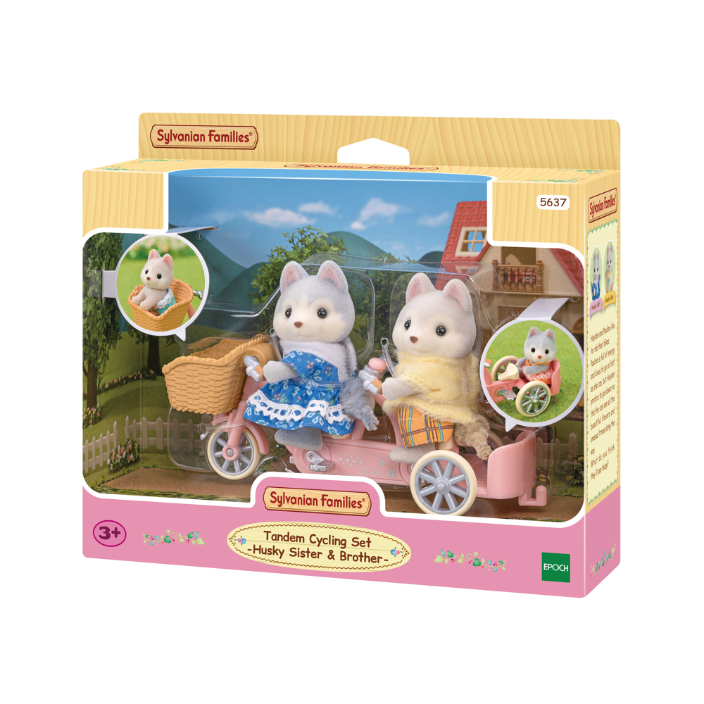 Les frères et sœurs husky et leur tandem