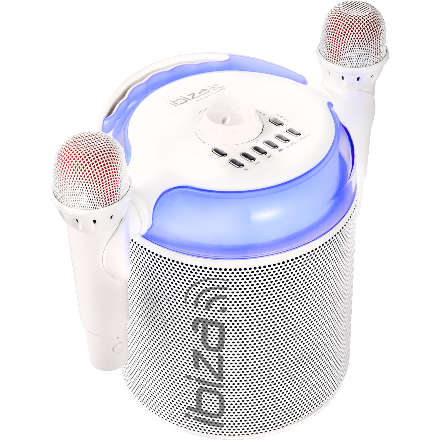 Enceinte Bluetooth Autonome Spécial « Karaoke »