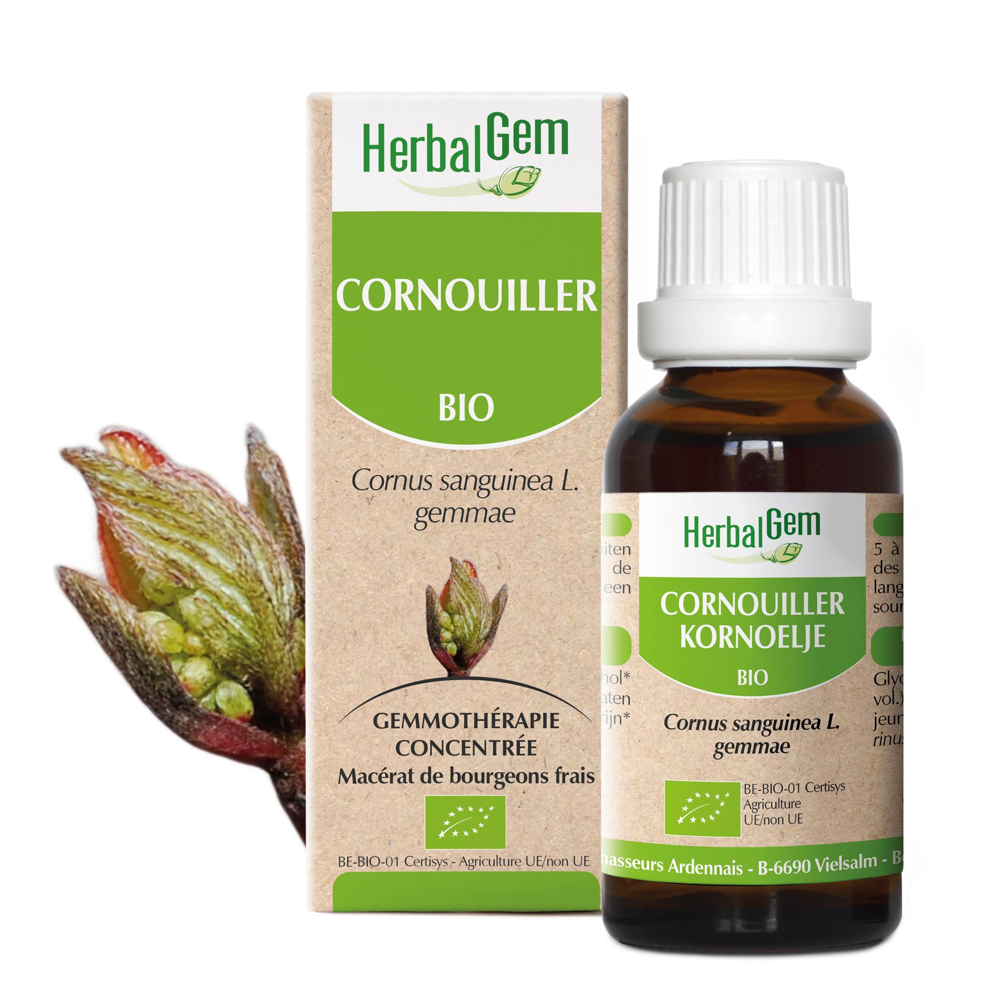 Herbalgem Cornouiller Bio 30ml