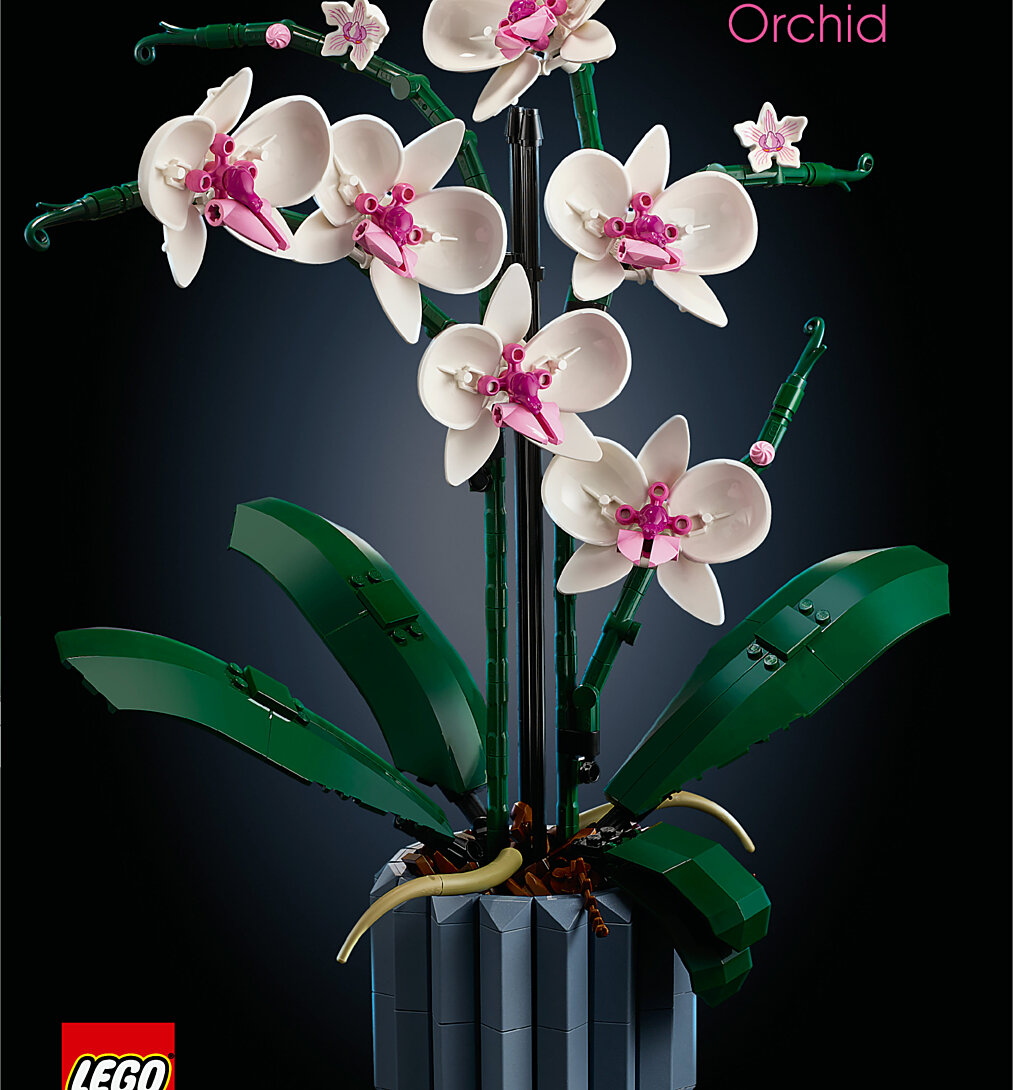 Lego Icons ?orchidée 10311 Lego La Boîte
