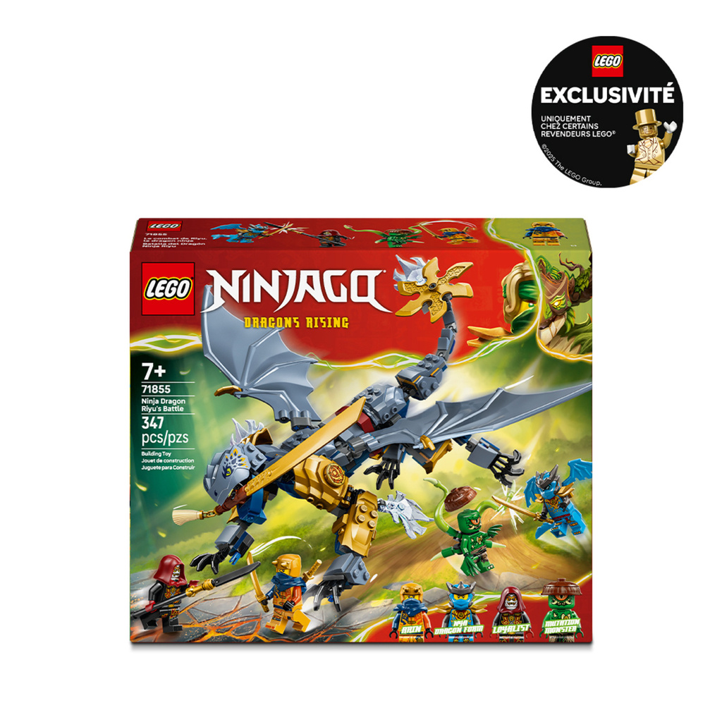 Le combat du Dragon Riyu - vue 2