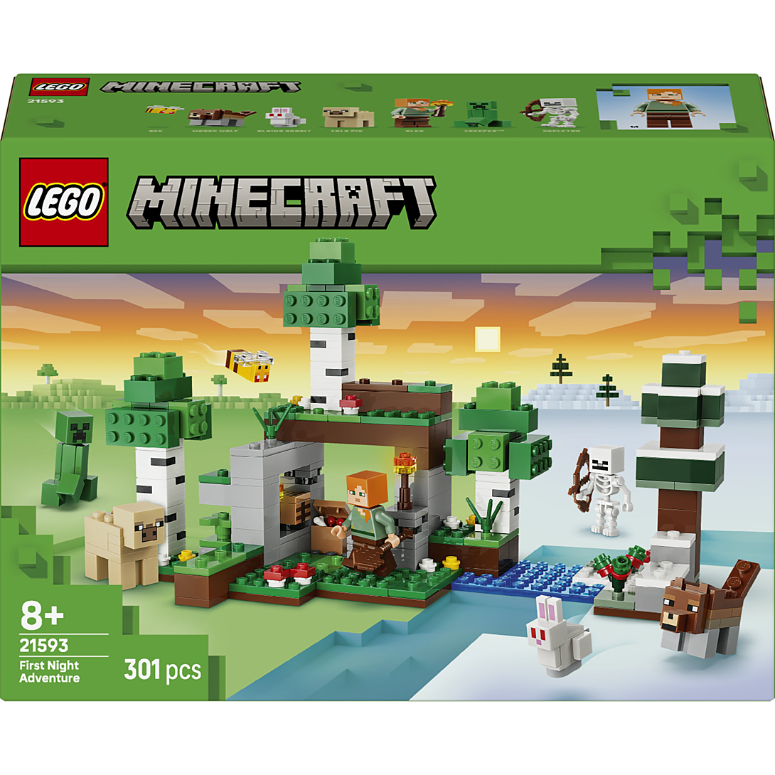 LEGO Minecraft L’aventure de la Première Nuit 21593 - vue 9