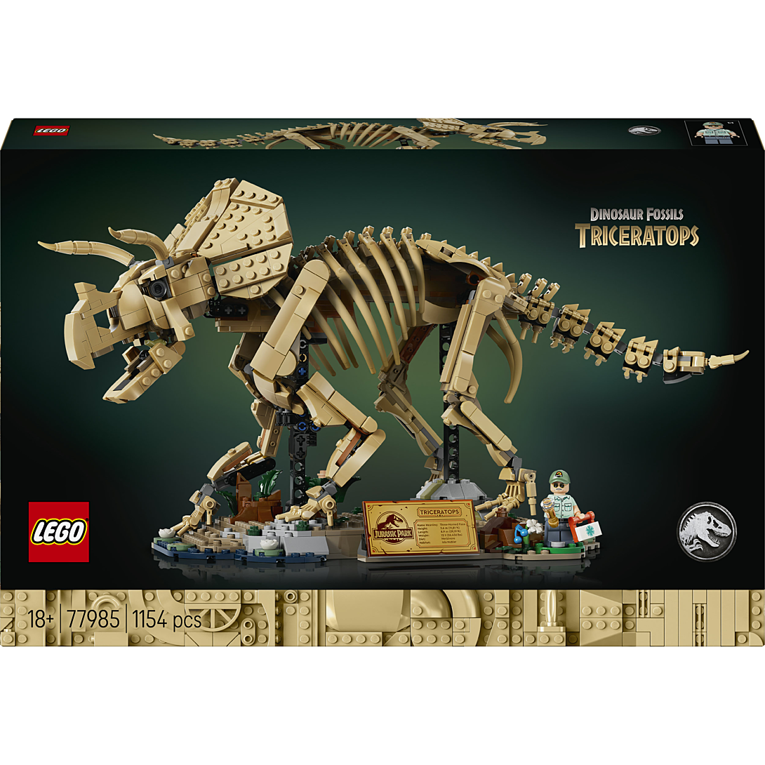 Les fossiles de dinosaure: le tricératops - vue 10
