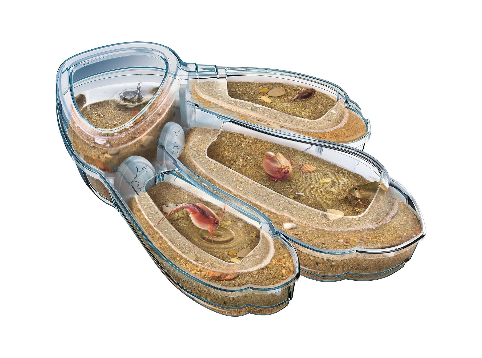 Triops Clementoni Le Jeu - vue 7