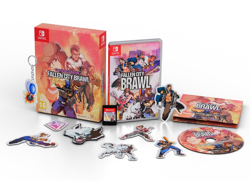 Fallen City Brawl - Special Édition (SWITCH)