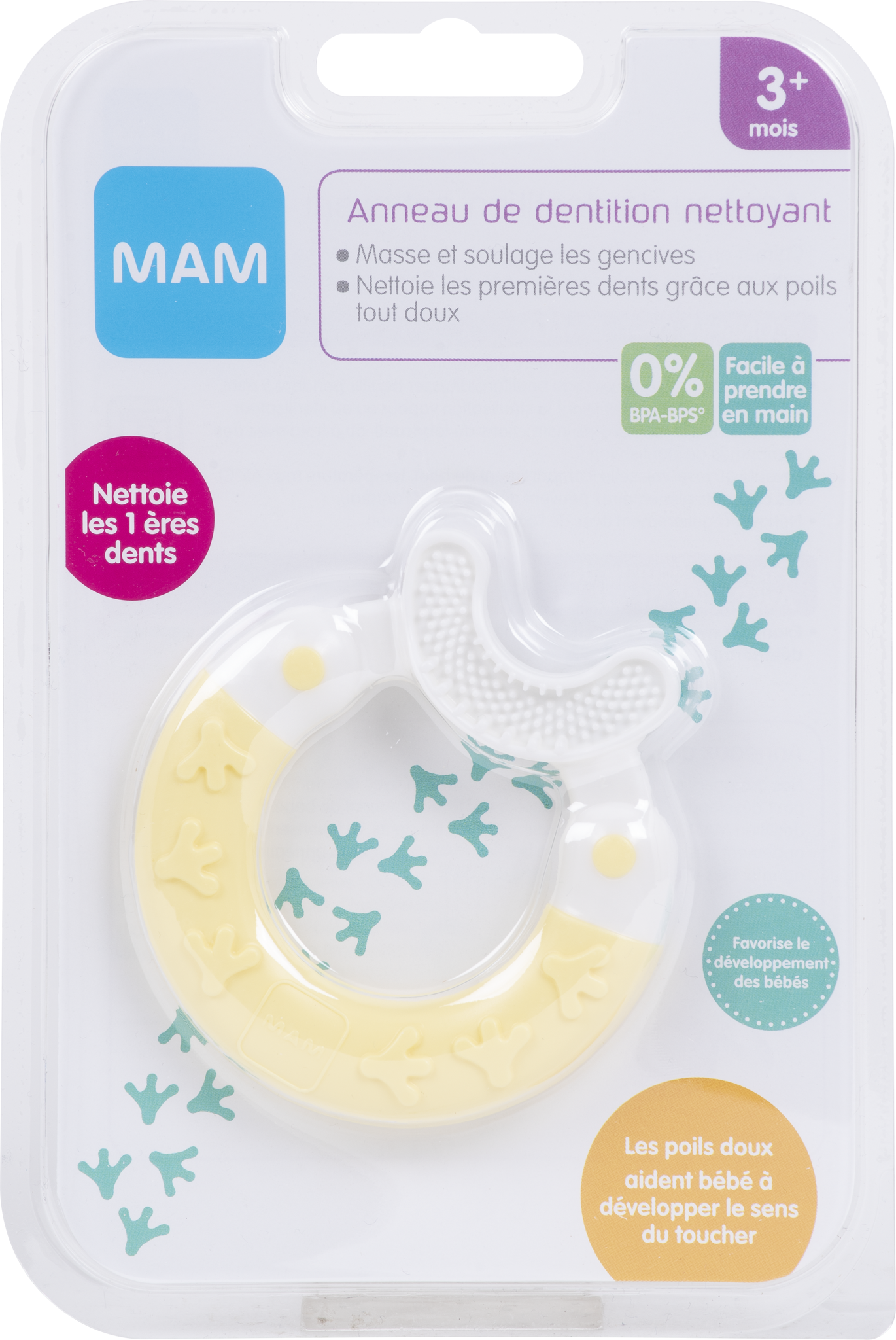 Anneau de Dentition Nettoyant