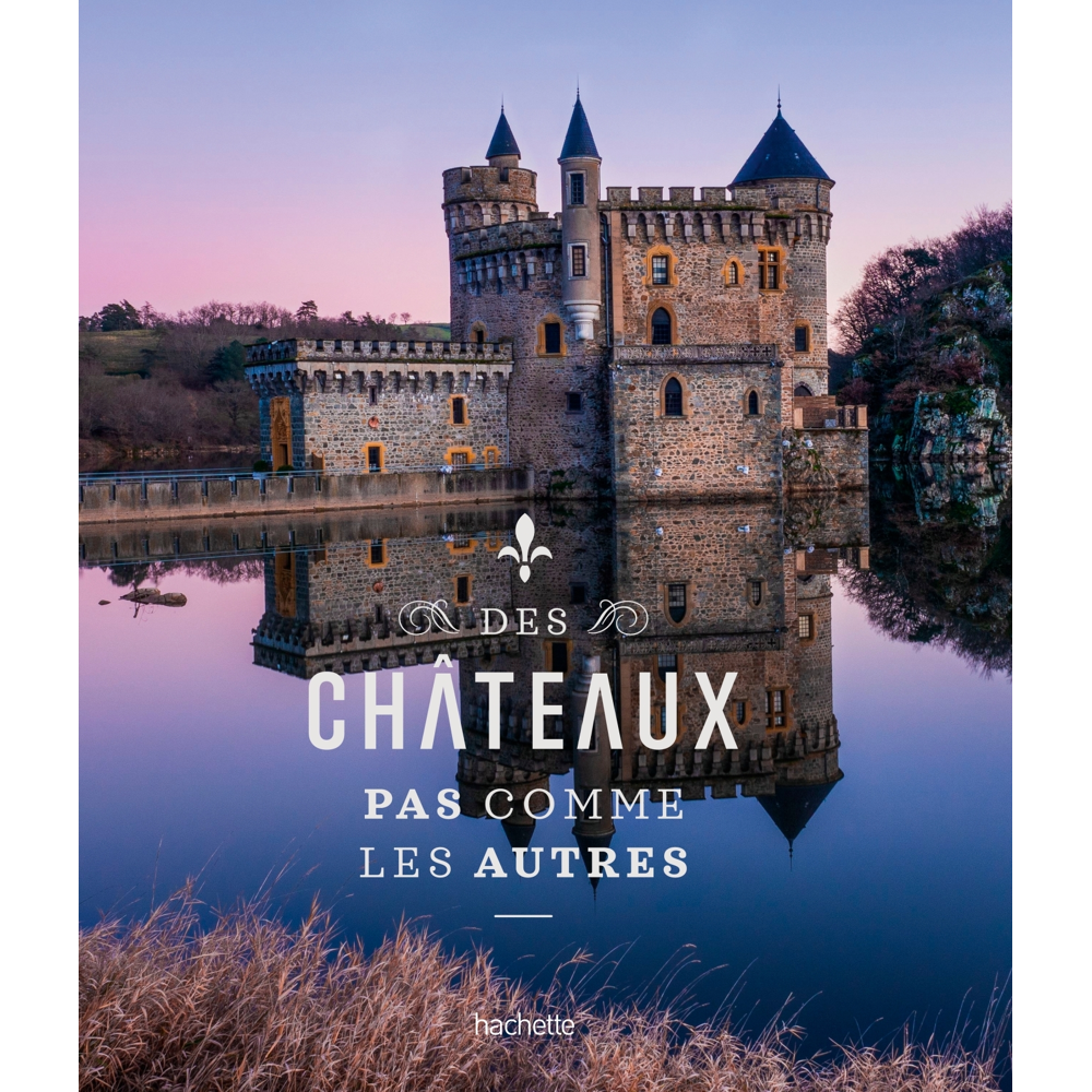 Des châteaux pas comme les autres (Broché)