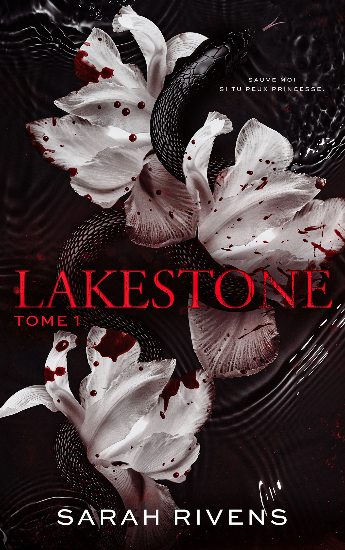 Lakestone tome 1