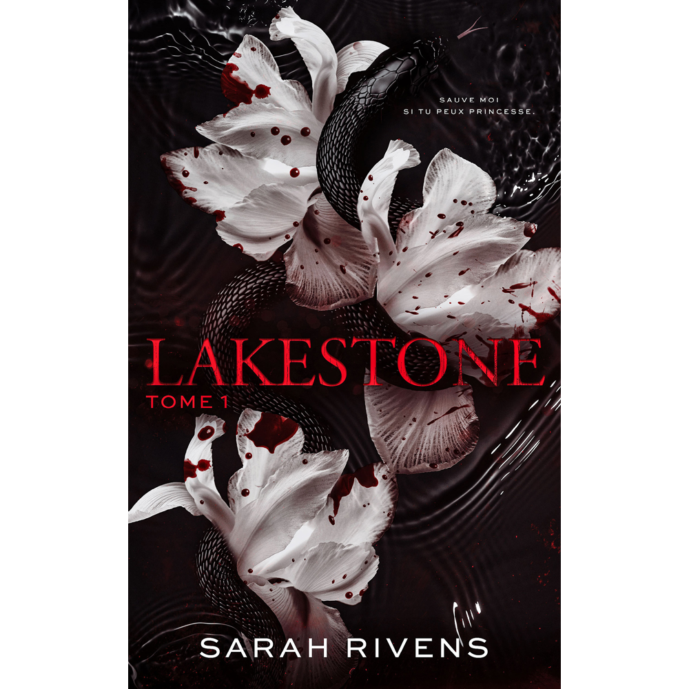 Lakestone tome 1