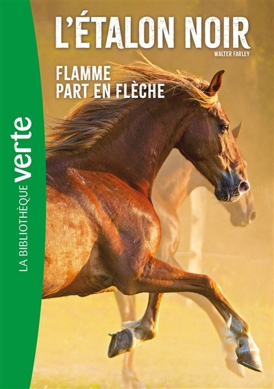 L'Etalon Noir NED 12- Flamme part en flèche (Poche)