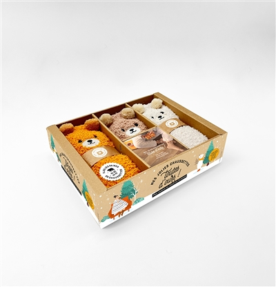 Coffret Mes jolies chaussettes toutes d'ours (Coffret)