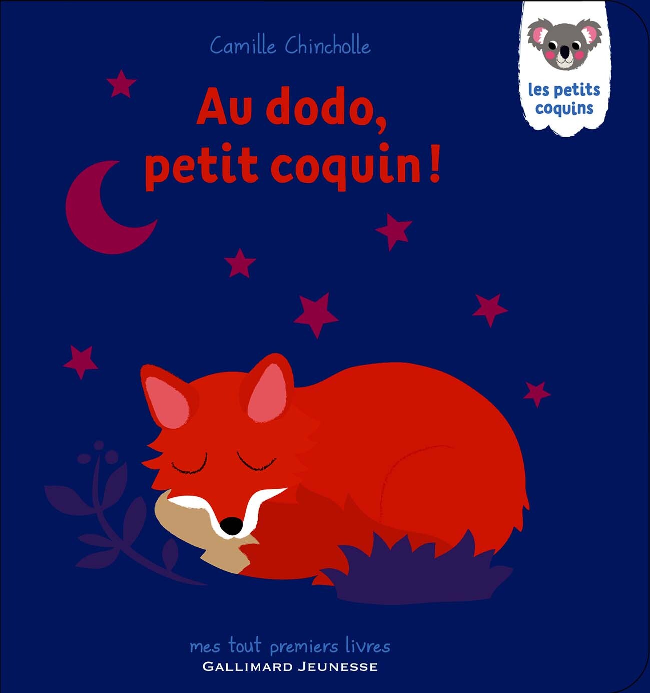 Au dodo, petit coquin ! (Jeunesse)
