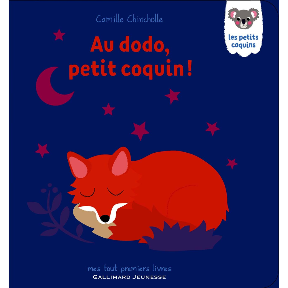 Au dodo, petit coquin ! (Jeunesse)