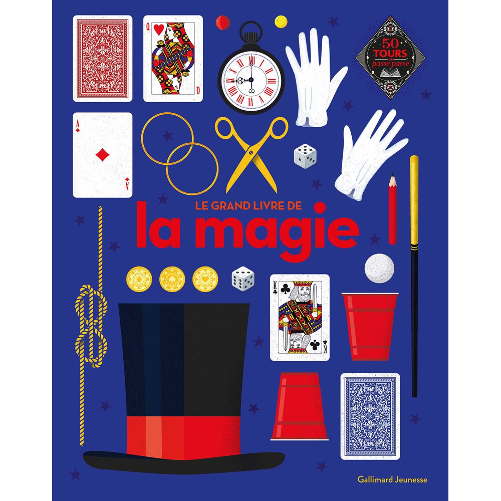 Le grand livre de la magie (Broché)