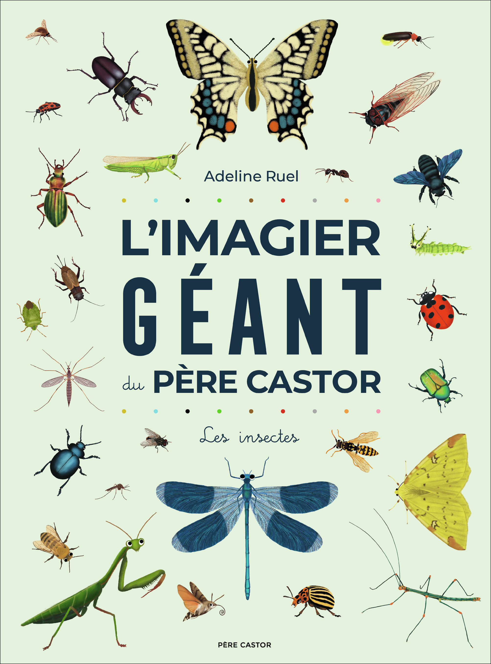 L'Imagier géant du Père Castor - Les insectes (Cartonné)
