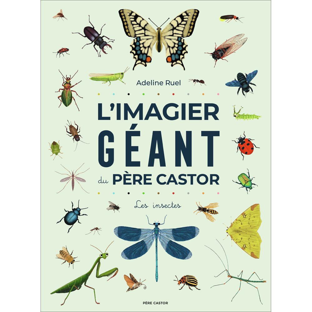 L'Imagier géant du Père Castor - Les insectes (Cartonné)