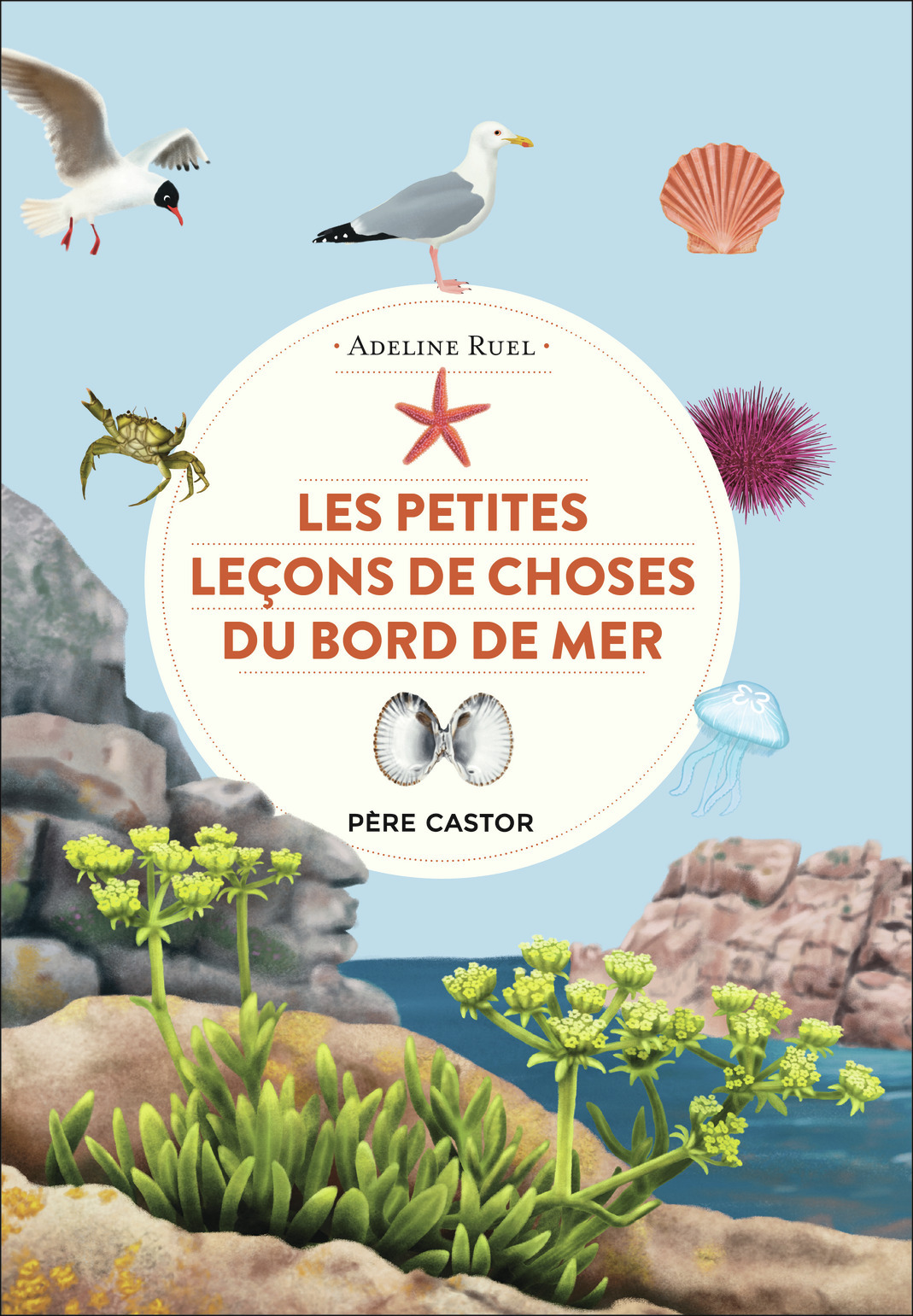 Les petites leçons de choses du bord de mer (Cartonné)
