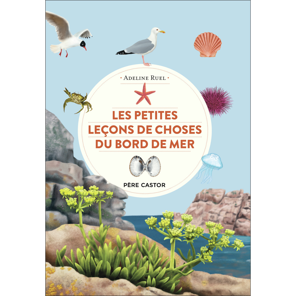 Les petites leçons de choses du bord de mer (Cartonné)