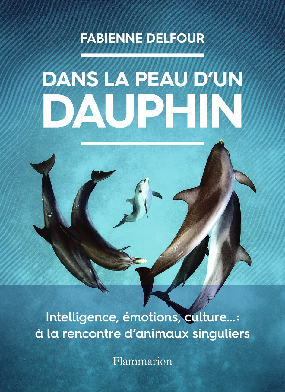 Dans la peau d'un dauphin - Intelligence, émotions, culture... : à la rencontre d'animaux singuliers