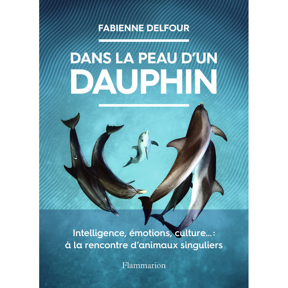 Dans la peau d'un dauphin - Intelligence, émotions, culture... : à la rencontre d'animaux singuliers