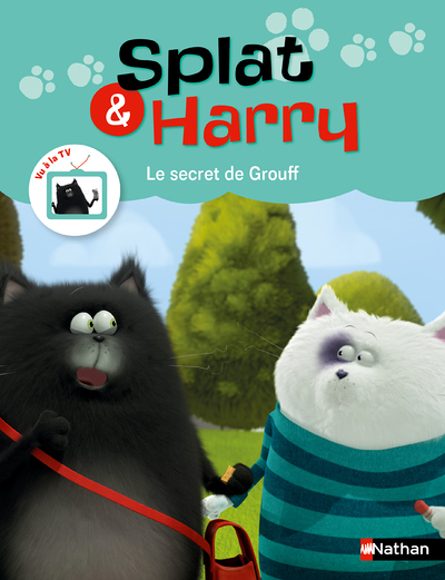 Splat et Harry - tome 7 Le secret de Grouff (Cartonné)