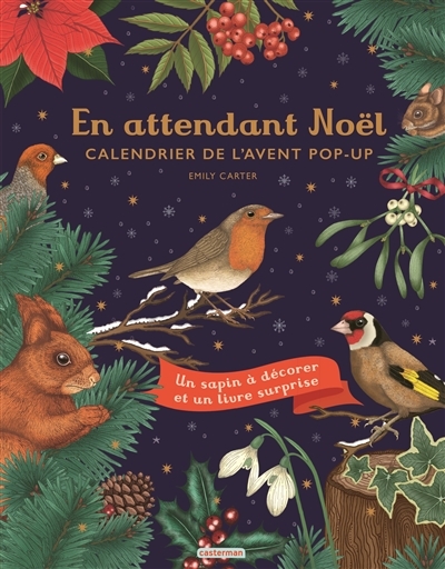 En attendant Noël - Calendrier de l'avent Pop-up (Broché)