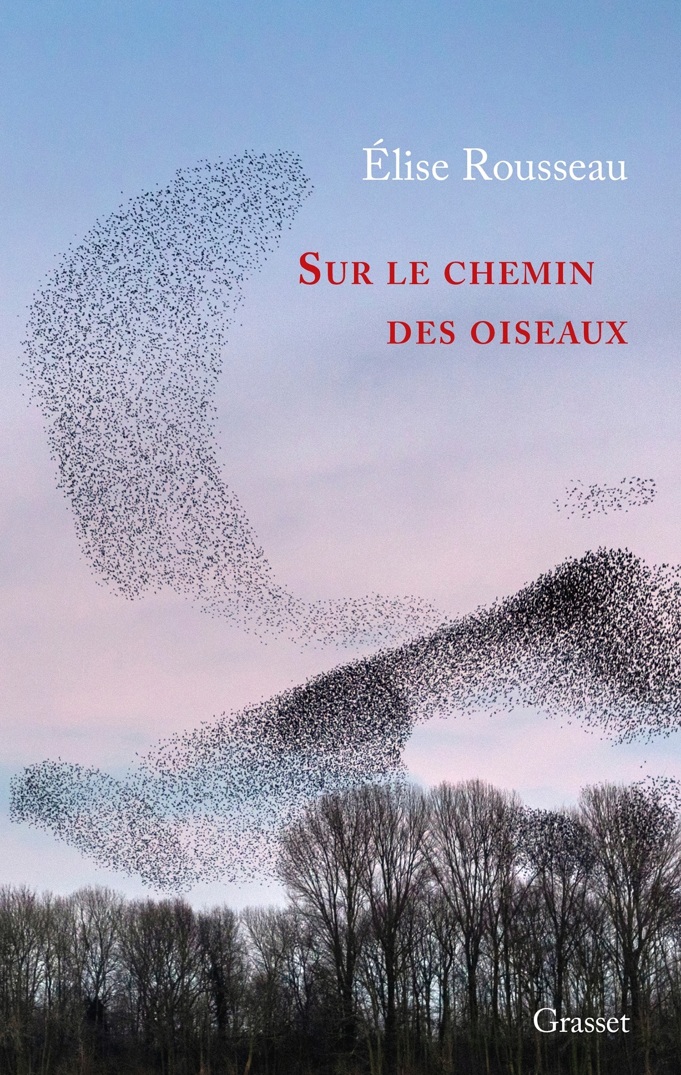 Sur le chemin des oiseaux - Récit (Broché)