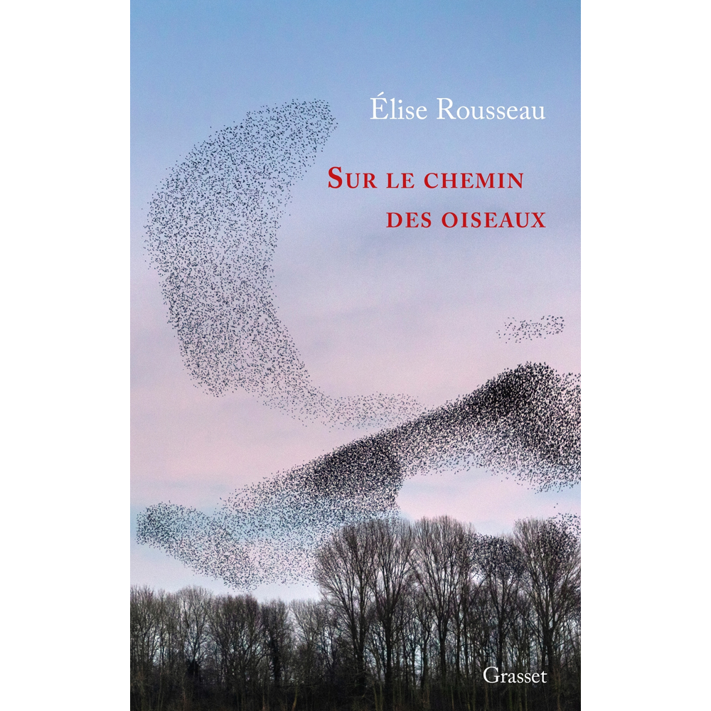 Sur le chemin des oiseaux - Récit (Broché)