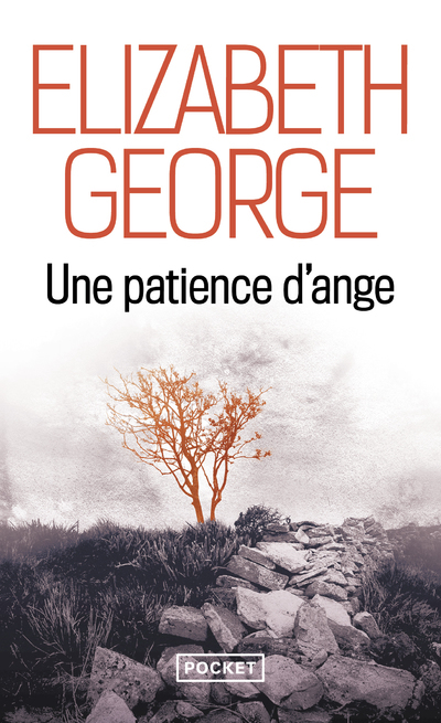 Une patience d'ange (Poche)
