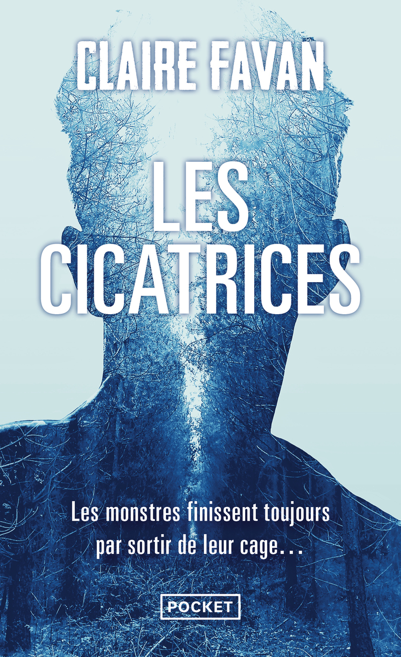 Les Cicatrices (Poche)