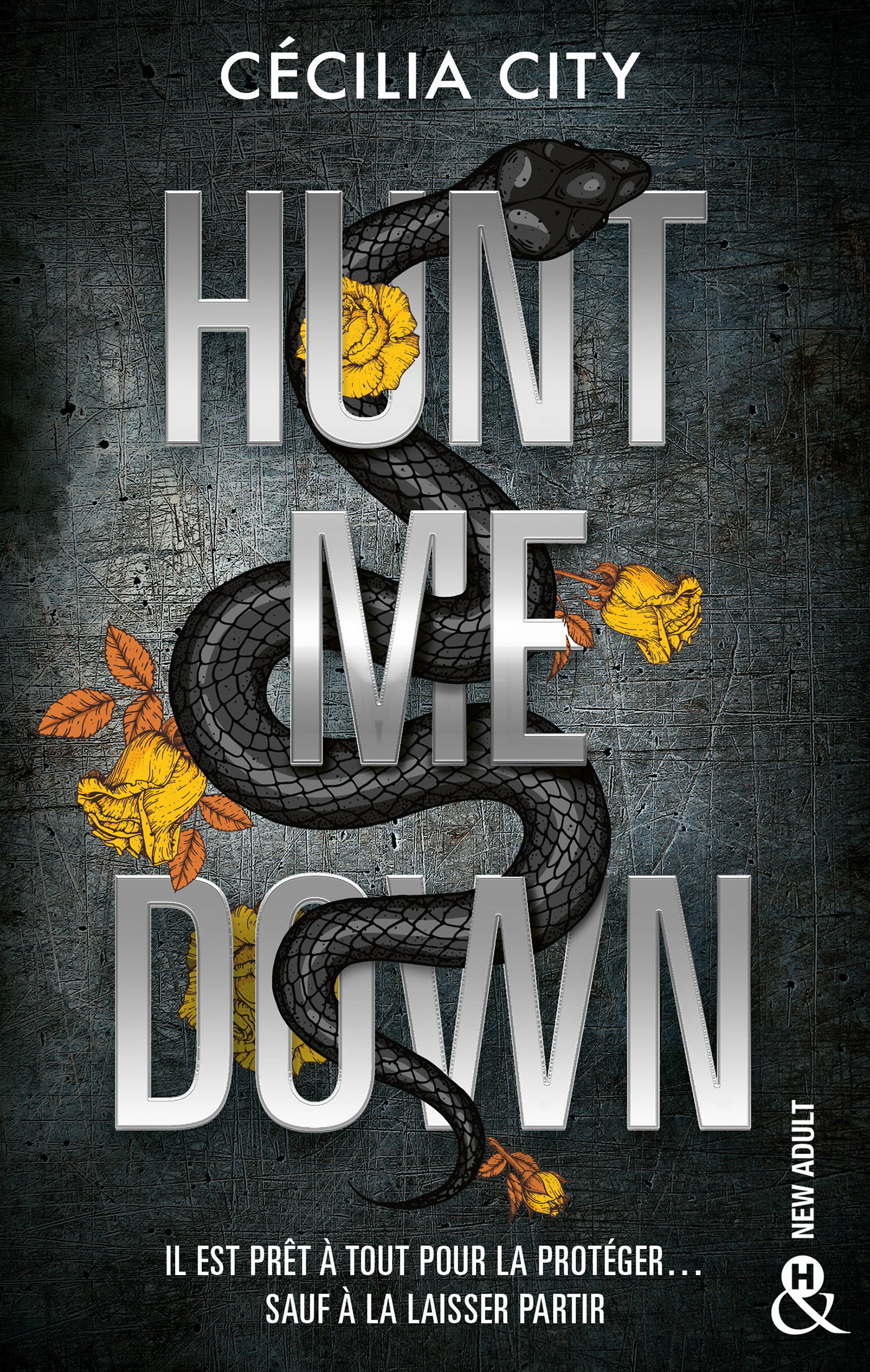 Hunt Me Down - Entre frissons et tension, un romantic suspense addictif (Broché)