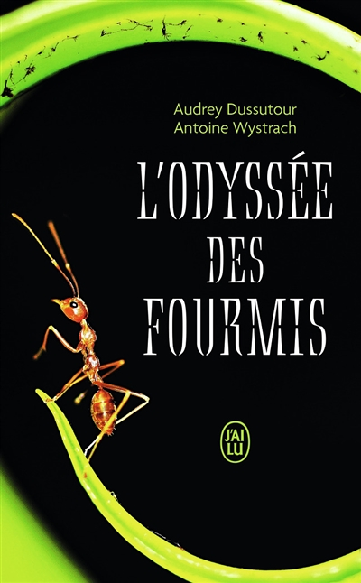 L'odyssée des fourmis (Poche)