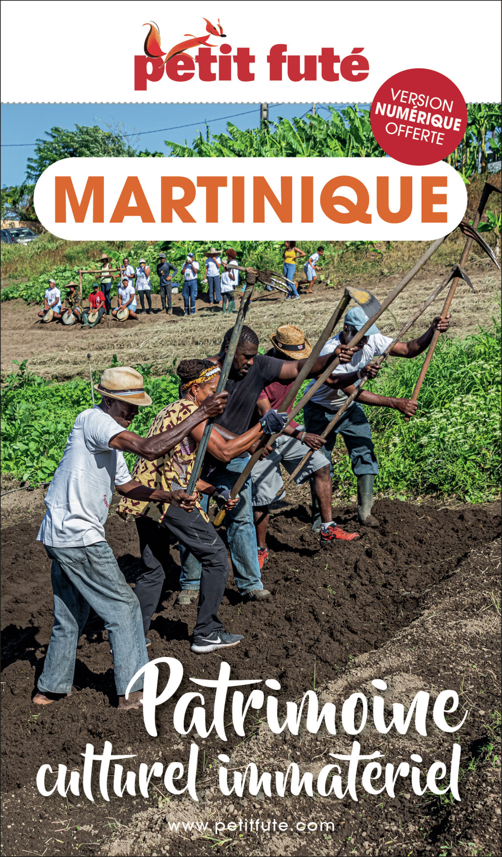 Guide Patrimoine culturel immatériel de la Martinique 2024 Petit Futé (Broché)