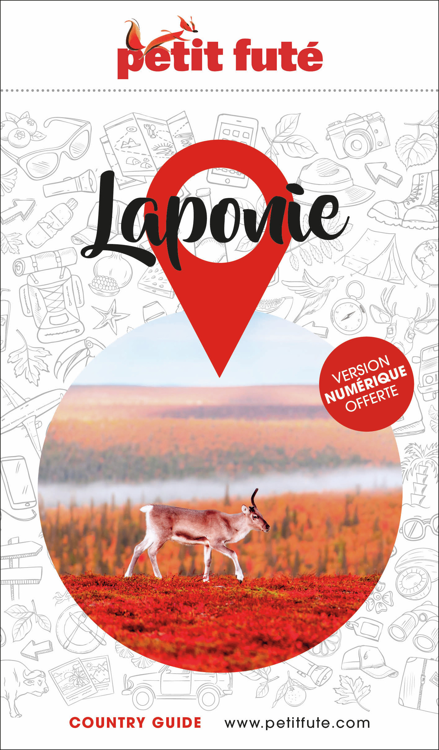 Guide Laponie 2024 Petit Futé (Broché)