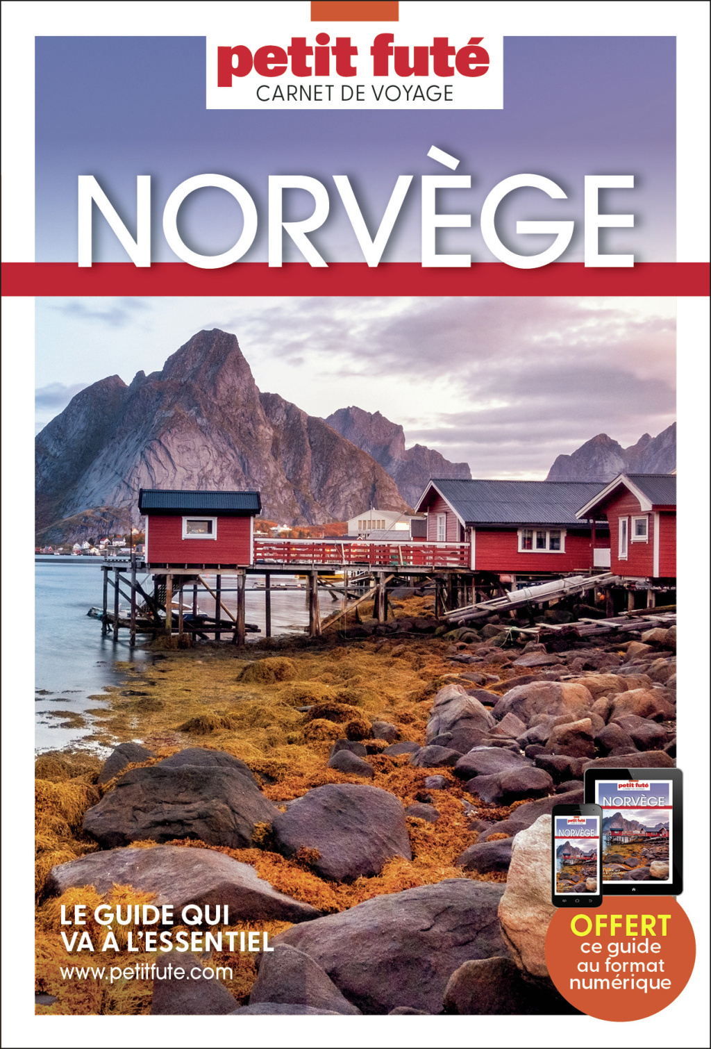 Guide Norvège 2024 Carnet Petit Futé (Broché)