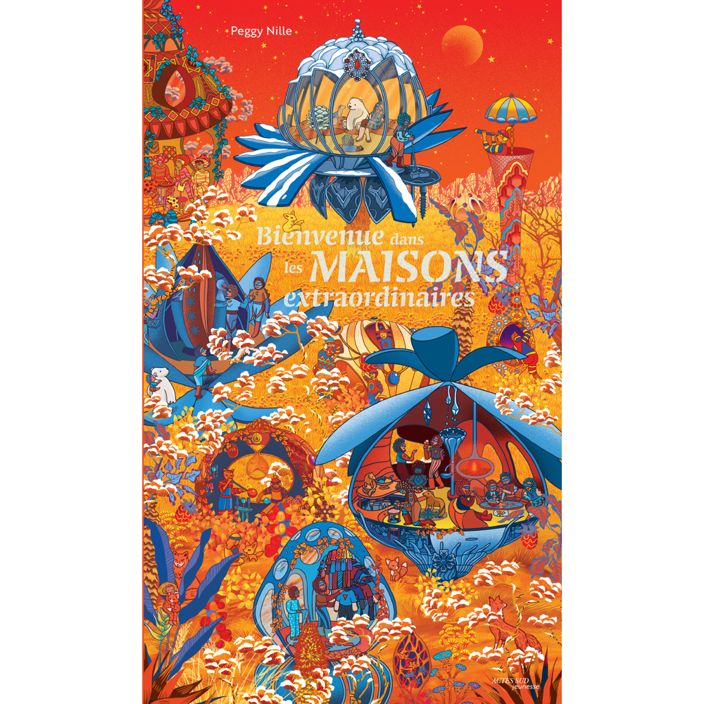 Bienvenue dans les maisons extraordinaires (Cartonné)