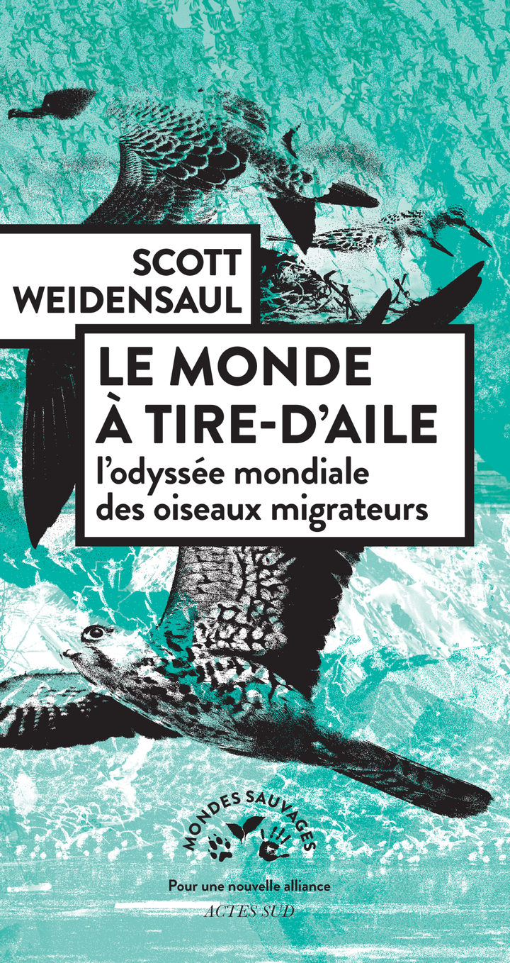 Le monde à tire-d'aile - L'odyssée mondiale des oiseaux migrateurs (Broché)
