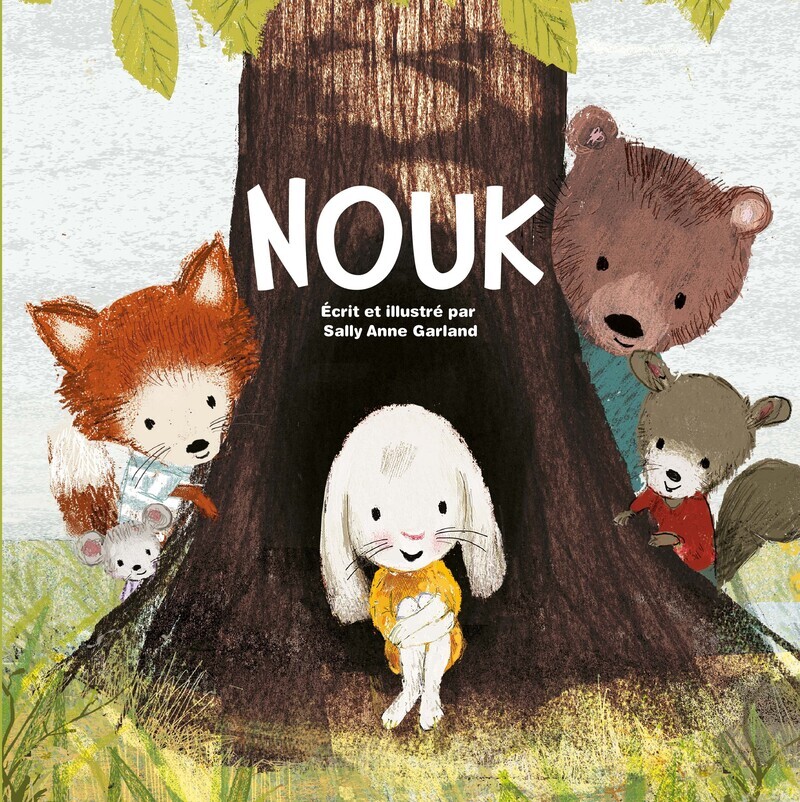 ALBUMS - HISTOIRES - NOUK (Jeunesse)