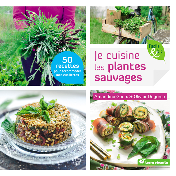 Je Cuisine Les Plantes Sauvages