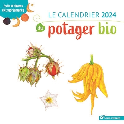 Le calendrier 2024 du potager bio - Fruits et légumes extraordinaires (Broché)