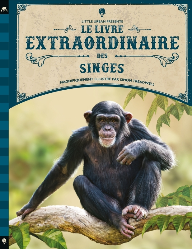 Le Livre extraordinaire des singes (Cartonné)