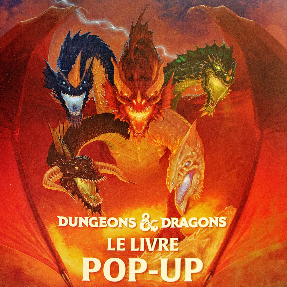 Donjons et Dragons : pop up (Relié)